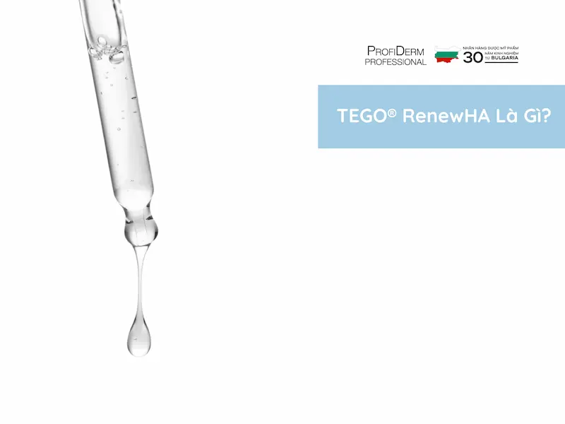 tego renewha tego renewha