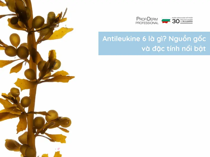 antileukine 6 antileukine 6
