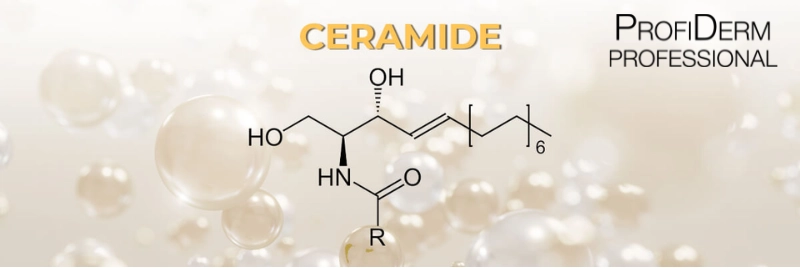 Ceramide Ceramide