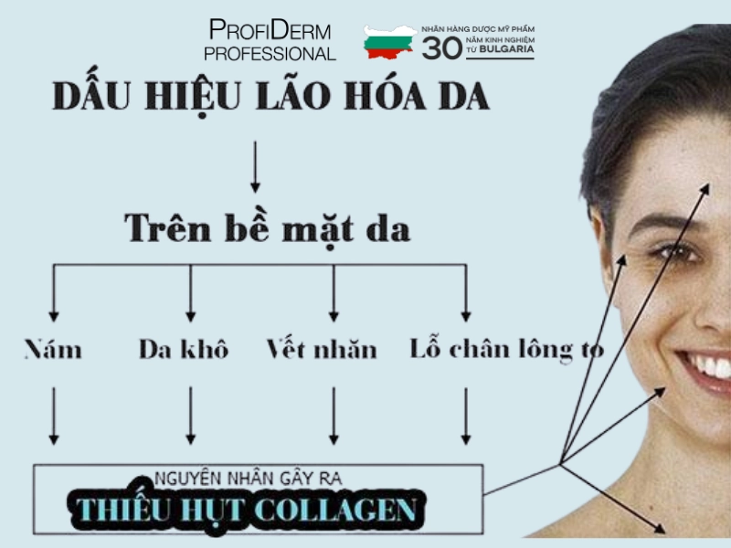 chống lão hóa cho da nhạy cảm chống lão hóa cho da nhạy cảm
