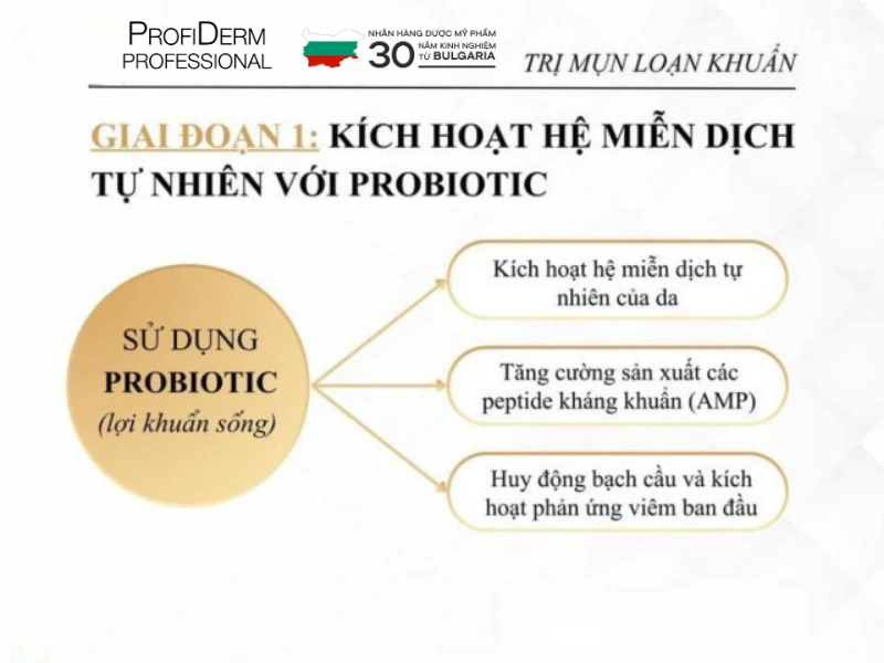Các hoạt chất chủ chốt trong điều trị loạn khuẩn Các hoạt chất chủ chốt trong điều trị loạn khuẩn
