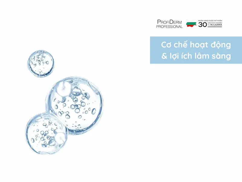 Cơ chế hoạt động & lợi ích lâm sàng Cơ chế hoạt động & lợi ích lâm sàng