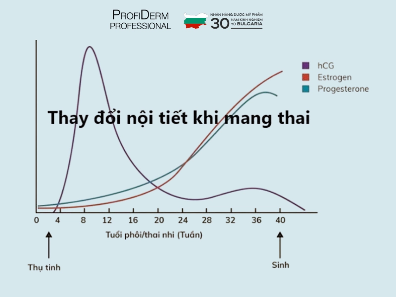 chăm sóc da nhạy cảm cho bà bầu chăm sóc da nhạy cảm cho bà bầu
