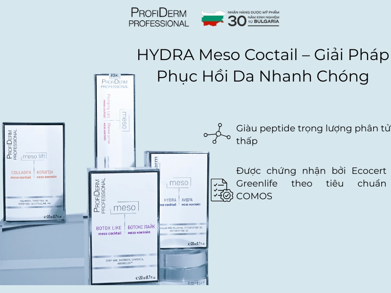 meso hydra meso hydra