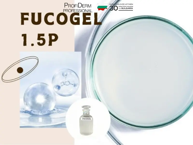 fucogel fucogel